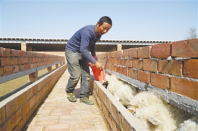 <p>　　王旭智在自家养殖场喂羊。</p>