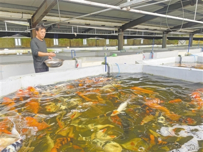 <p>　　通过物联网技术，实时监测鱼塘水下生态环境。</p>