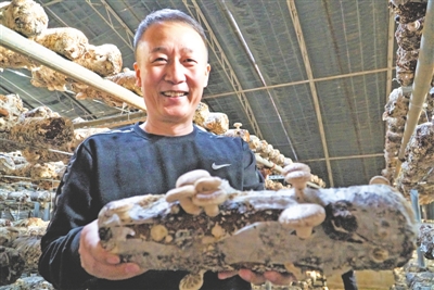 <p>　　王航展示村里的主导产业——香菇。</p>