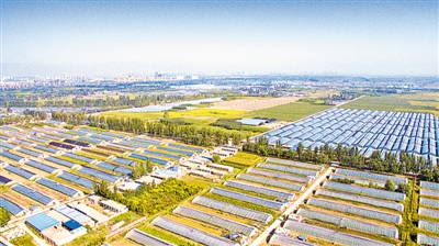 <p>　　望远镇设施农业园</p>