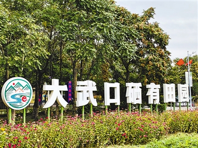 <p>　　硒有田园入口</p>