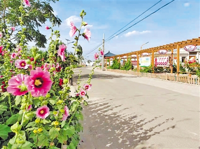 <p>　　整治农村人居环境，建设美丽乡村。</p>