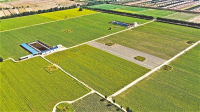 <p>　　↑冷凉蔬菜种植基地。</p>
