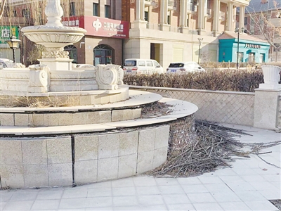 <p>　　宝庆国际花园小区大门口的景观喷泉瓷砖掉落，池内堆着垃圾。</p>