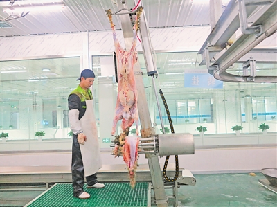 <p>　　宁夏福兴神农食品有限公司的工人在分割滩羊肉。</p>