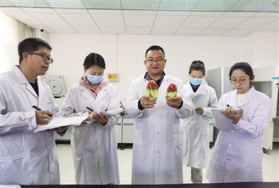 <p>　　自治区科技领军人才石志刚在枸杞工程技术研究中心指导科技人员。</p>