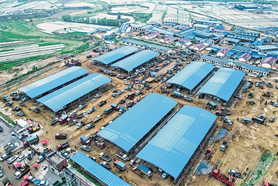     西吉县肉牛饲养量历史性突破50万头，成为富民强县第一支柱产业。图为年肉牛交易量25万头的兴隆镇单家集活畜交易市场。
