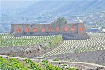 7月31日，西吉县马建乡大湾村彩椒种植基地，1100亩彩椒长势喜人。近年来，马建乡坚持把产业发展作为乡村振兴的“头道工序”来抓，盘活低效闲置土地，通过“党支部＋村集体合作社＋企业＋农户”形式，建设彩椒种植基地，为乡村振兴赋能。        本报记者 左鸣远 摄