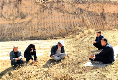 近日，乡村干部在田间地头召开“庄头会”，听民声解纠纷。
