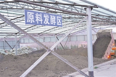 <p>　　牛粪加工成有机肥。</p>