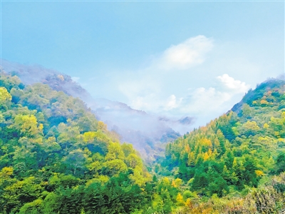 <p>　　自然天成。</p>
