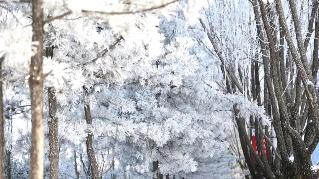微信图片_20240228163712.jpg