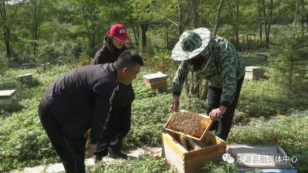 微信图片_20231024202229.jpg