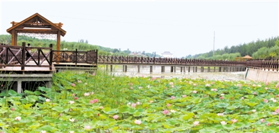 <p>　　吴忠市利通区城南生态文化公园景色怡人。</p>