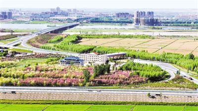 <p>　　扎制草方格，播撒绿色希望。</p>