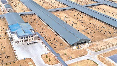 <p>　　←宁夏新澳农牧有限公司养殖基地俯瞰图。</p>