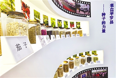 <p>　　平罗县智慧农业展示馆的产业振兴展厅。</p>