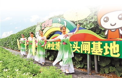 <p>　　头闸镇五彩种博园喜迎八方客。</p><p>　　（本版图片除署名外均由本报记者　李良　摄）</p>