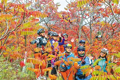     游客在大武口北武当山欣赏红叶。