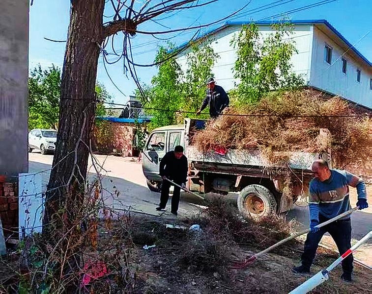 吴忠市农村环境卫生综合整治百日集中攻坚行动掠影