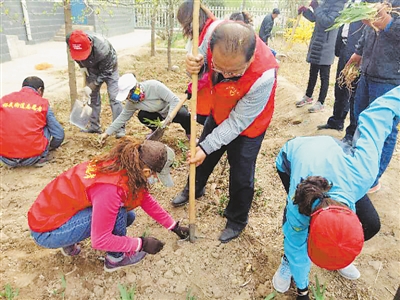 <p>　　青铜峡市裕民街道银河社区志愿者在小区义务植树。　</p>