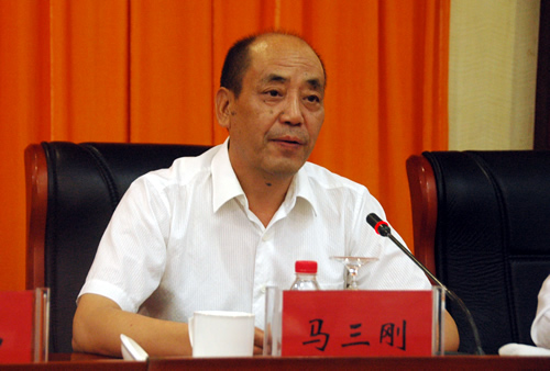 王正伟马三刚马秀芬李锐袁汉民参加宁夏侨商联合会成立大会