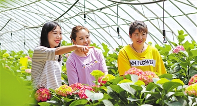 <p>　　兴庆区花卉种植产业。</p>