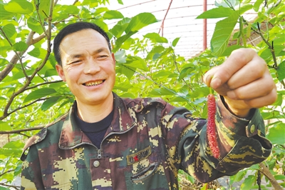 <p>　　陈占荣在介绍热带水果。</p>