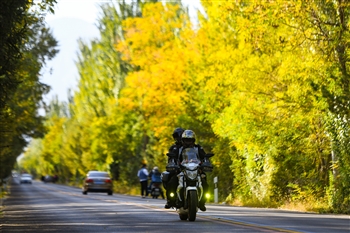 9月28日，在银川市西夏区新小路，秋色扑面而来。贺兰山下的新小路，因道路两侧密集的行道林，一直以来都是一条“打卡”之路，尤其到了多彩的秋季，景色更是怡人，被网友称为“银川最美秋色之路”。
    本报记者  季正  摄