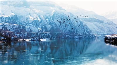 <p>　　在黑山峡上空飞翔盘旋的一群雪雁。　本报记者　钱建忠　摄</p>