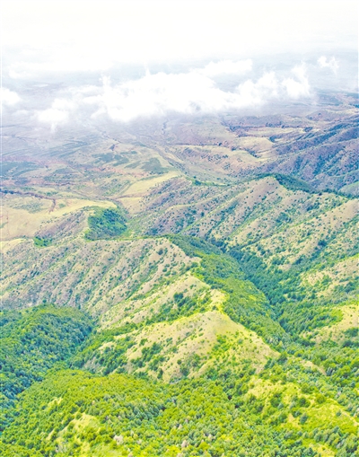     俯瞰罗山。							  本报记者 马楠 摄