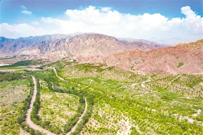     贺兰山北武当生态旅游区。 			 本报记者 王晓龙 摄