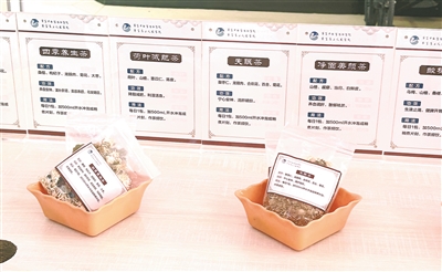 不同功效的中药代茶饮。