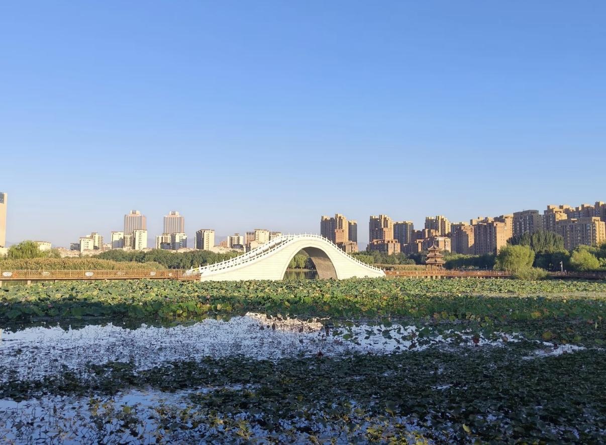 “口袋”公园、湿地景观、城市森林……金凤区这73处家门口的“诗和远方”你体验过吗？(图2)