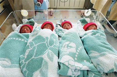 南京四胞胎妈妈图片