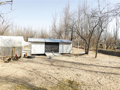 <p>　　建在排水沟旁的鸡舍。</p><p>　　本报记者　马钦麟　摄</p>