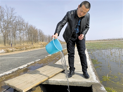<p>　　经过人工湿地净化后的水变得更加清亮（2月26日摄）。</p>