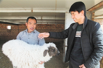 <p>　　3月20日，同心县旱天岭村二社村民顾存龙出售滩羊羊羔。2016年以来，顾存龙依靠“金融+产业扶贫”政策，先后贷款17万元发展养殖业，苦干实干最终甩掉穷帽子。</p><p>　　同心县通过多方合作带动扶贫，利用银行贷款，依托农业专业合作社产、供、销优势，引导养殖专业合作社、致富能人与贫困农户相结合，先富带动后富，共同走上富裕路。　</p><p>　　本报记者　苏峰　杜晓星　摄</p>