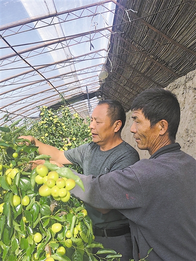 <p>　　张国庆（左）在指导王平海种植。</p>