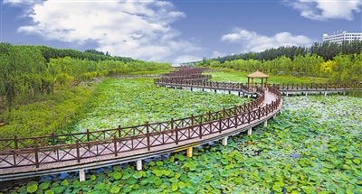 <p>　　位于吴忠市利通区上桥镇牛家坊村的城南生态文化公园。</p>