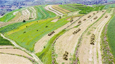 <p>　　每一片梯田都展现着固原人民拼搏不屈的精神。</p>