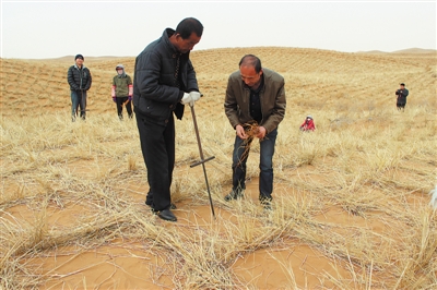 <p>　　唐希明（右）指导林场员工使用“造林神器”。　（图片由受访者提供）</p>