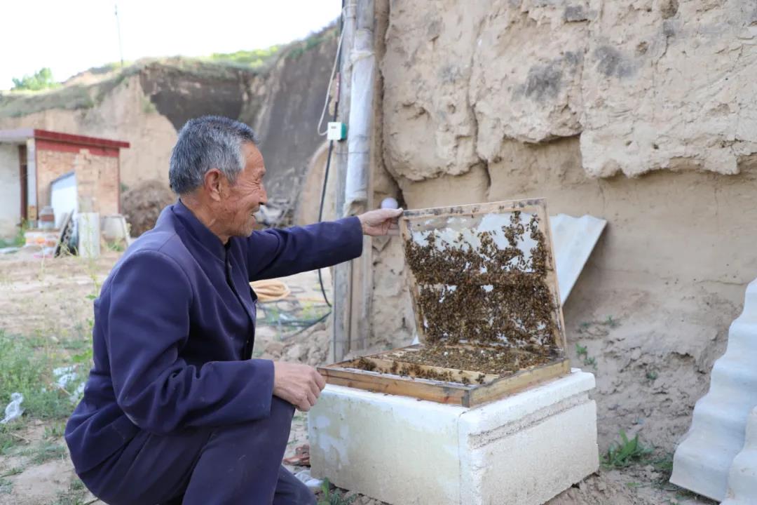 微信图片_20200528175850.jpg