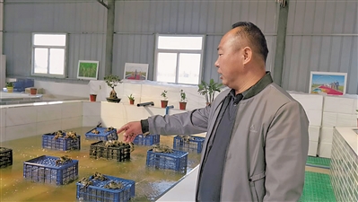 吴英平给记者指看“蟹王”。