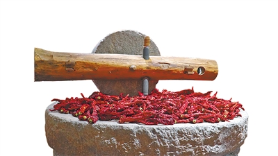     平罗羊角辣椒是宁夏辣糊糊的“灵魂”。