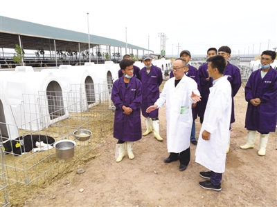 <p>　　学生在奶牛养殖基地进行实训。</p>
