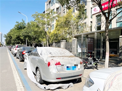 泰和路（天平街—环湖路）的免费停车位上，一辆车的车衣已经破损，车身落满灰尘。