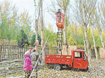     银川市兴庆区玉皇阁北街荣丰苑小区修剪树木。