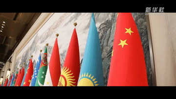 多国人士高度评价峰会成果