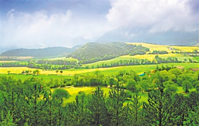 <p>　　　　槐树林生态森林公园</p>